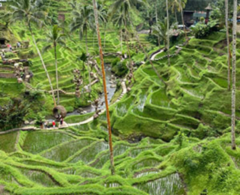 Ubud