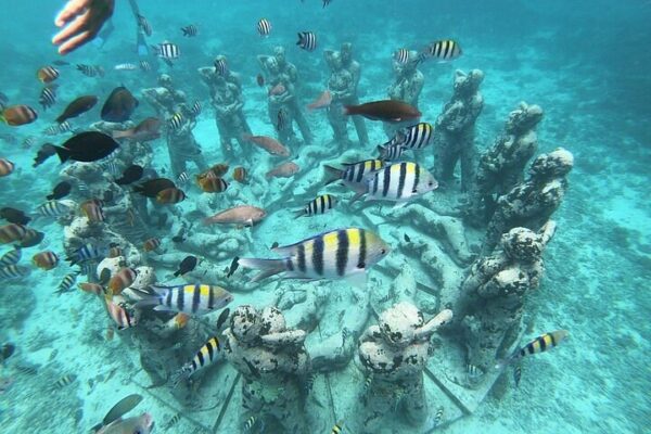Gili Islands Snorkeling Adventure