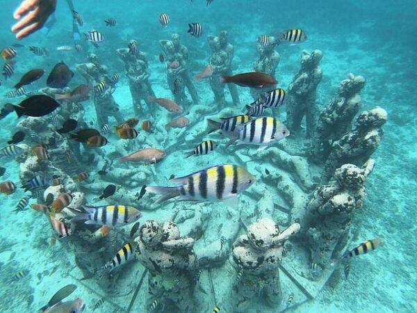 Gili Islands Snorkeling Adventure